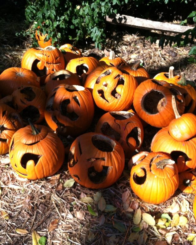 Halloween 2026 Spending Hits a Record $13.5 Billion: Where the Money Goes